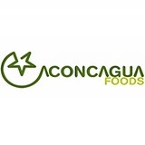 Logo aconcagua food