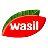 Logo Wasil